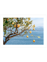 Deniz Manzaralı Limon Ağacı - Art Print